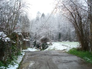 neige en Béarn le 26-02-2013 007