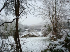 neige en Béarn le 26-02-2013 010